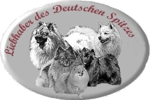 Logo_Liebhaber_des_Deutschen_Spitzes_-_NEU